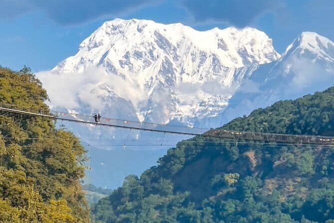 Full day Suspension Bridge, Boating, George, Sightseeing Tour - Key things to know before you go