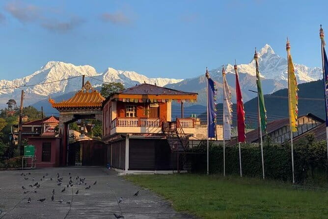 Full day Suspension Bridge, Boating, George, Sightseeing Tour - Why this Pokhara private tour works for real life