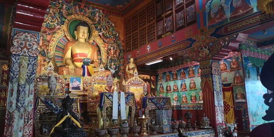 Full Day Tibetan Cultural Tour - Meeting Tibetan traditional medicine: doctor consultation and pulse reading