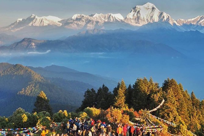 Ghorepani Ghandruk Trek ( Poon Hill circuit, Annapurna sunrise view trek) - Ghorepani Village: The Rhododendron Forest Hike You’ll Remember