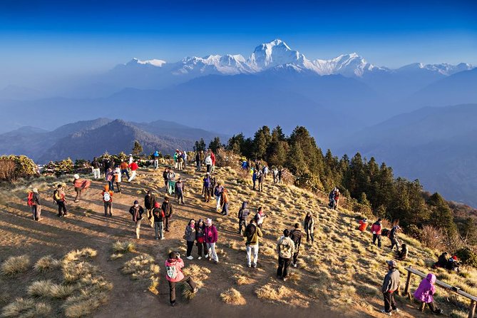 Ghorepani Poon Hill Sunrise Trek - Key things to know before you go