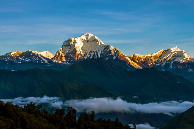 Ghorepani - Poon Hill Trek - 5 DAYS - Ghorepani to Poon Hill: the sunrise hike and why the Machhapuchhre view matters