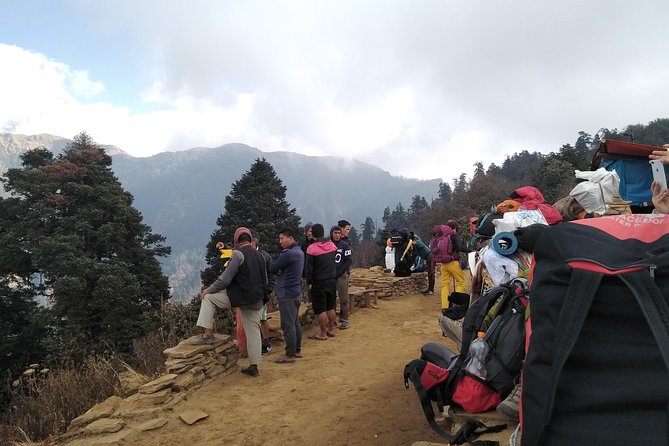 Ghorepani Poon Hill Treks: 6 Nights /7 days - Day 5: Ghandruk to Pokhara, trading trail views for lakeside comfort