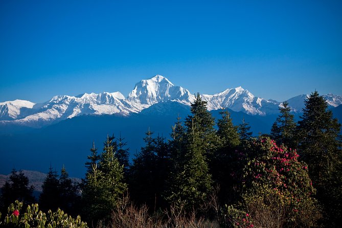 Ghorepani - Poon Hill yoga Trek - 10 Days - Poon Hill sunrise day: the peak-view payoff