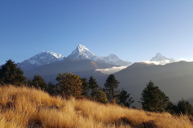 Ghorepani Poonhill Hiking Nepal - Key highlights worth your attention