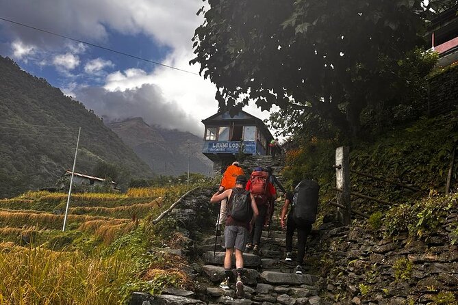 Ghorepani Poonhill Private Trek - 2 nights / 3 days - Day 2 to Ghorepani: Rhododendron Forests and the Work Between Views