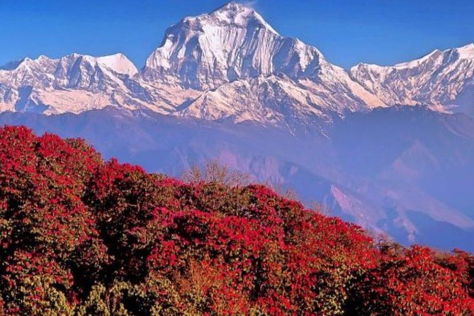 Ghorepani Poonhill Trek -8 Days - Kathmandu and Pokhara, the plan before the mountains