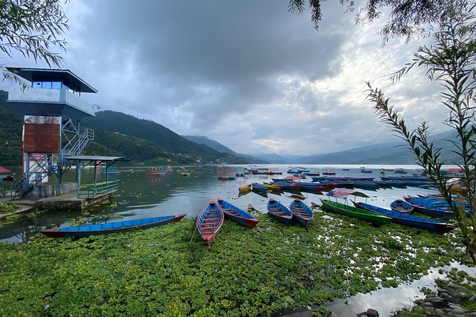 Half Day Pokhara Sightseeing by Car - Key highlights before you go