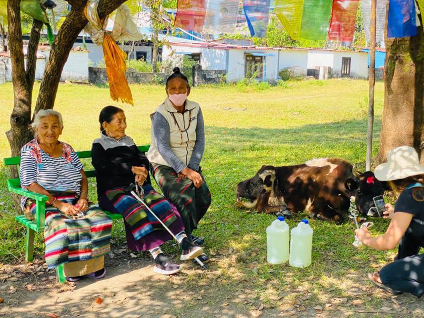 Half day Tibetan cultural tour - A 4.5-hour loop that’s easy to fit into Pokhara days