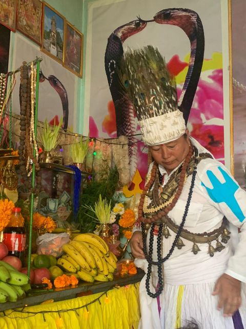 Healing Day tour - Shaman Healing - Inside the Shaman Studio: Consultation, Body Scanning, and Rituals