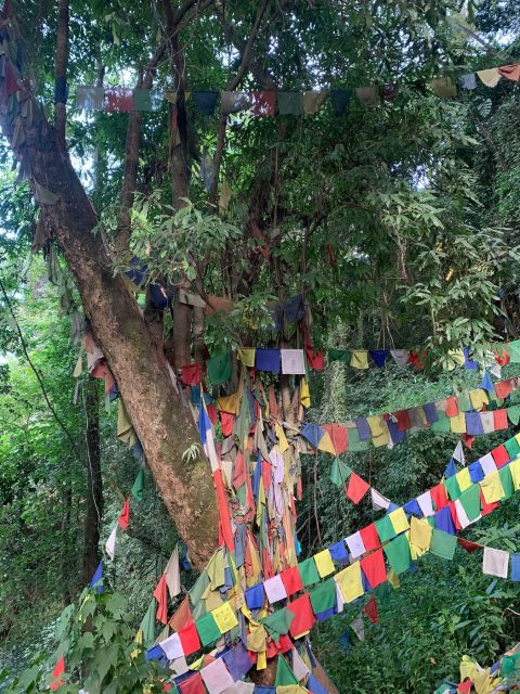 Healing Day tour - Shaman Healing - Buddhist Temple Prayer Time: A Calmer Ending to the Day