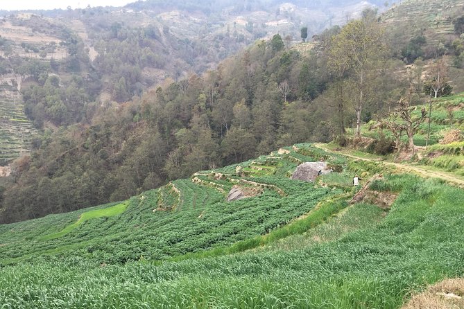 Hiking & city tour in Kathmandu with community Volunteering - Day 1 Temple circuit: Swayambhunath, Durbar Squares, and market stops