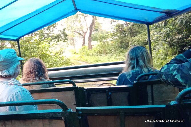 Jeep safari (4-5 hrs. Sharing) inside Chitwan National Park. - Getting started from Sauraha, including pickup and the 12:30 start