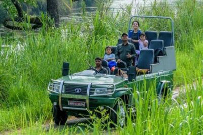 Jeep safari (4-5 hrs. Sharing) inside Chitwan National Park.