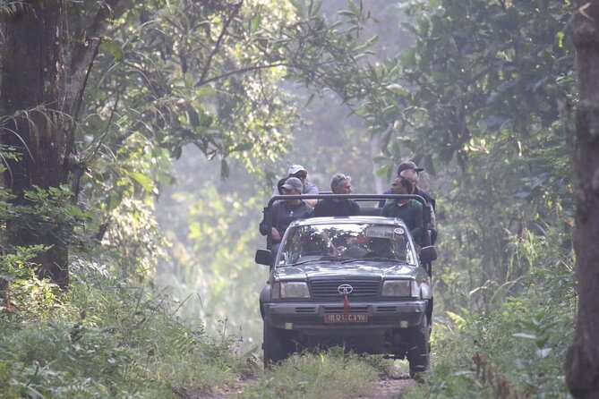Jungle Towernight Stay: 4-Day Tour in Chitwan National Park - Price and value: what $340 buys you in the real world