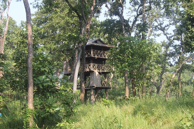 Jungle Towernight Stay In Chitwan National Park ,nepal-2 Nights 3 Days Package - Key highlights for your Chitwan jungle tower night stay