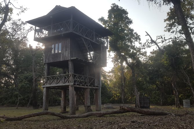 Jungle Towernight Stay In Chitwan National Park ,nepal-2 Nights 3 Days Package - Jeep safari plus canoe ride, the sightings strategy that actually works