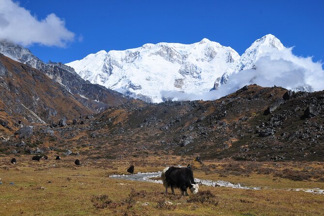 Kanchenjunga Circuit Trek - Getting to Suketar and easing in on day one and two