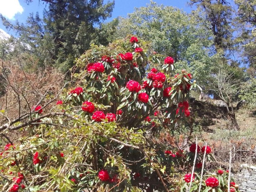 Kathmandu: 10-Day Adventurous Annapurna Circuit Trek - Upper Pisang to Manang: the wide valley feeling