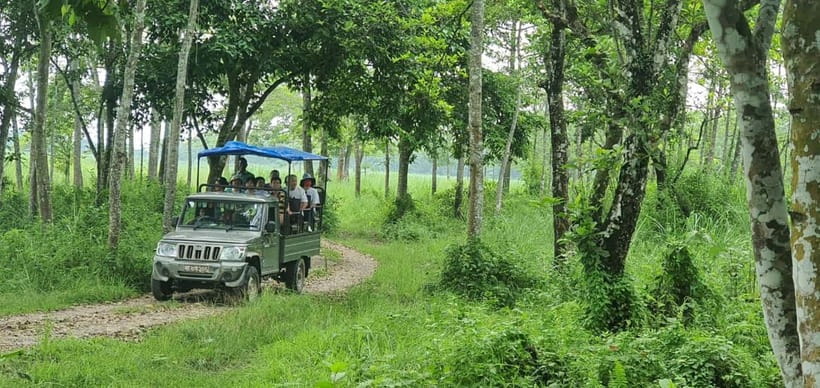 Kathmandu: 3-Day Chitwan Safari Tour with Hotel Transfers - Who should book this safari, and who should rethink it