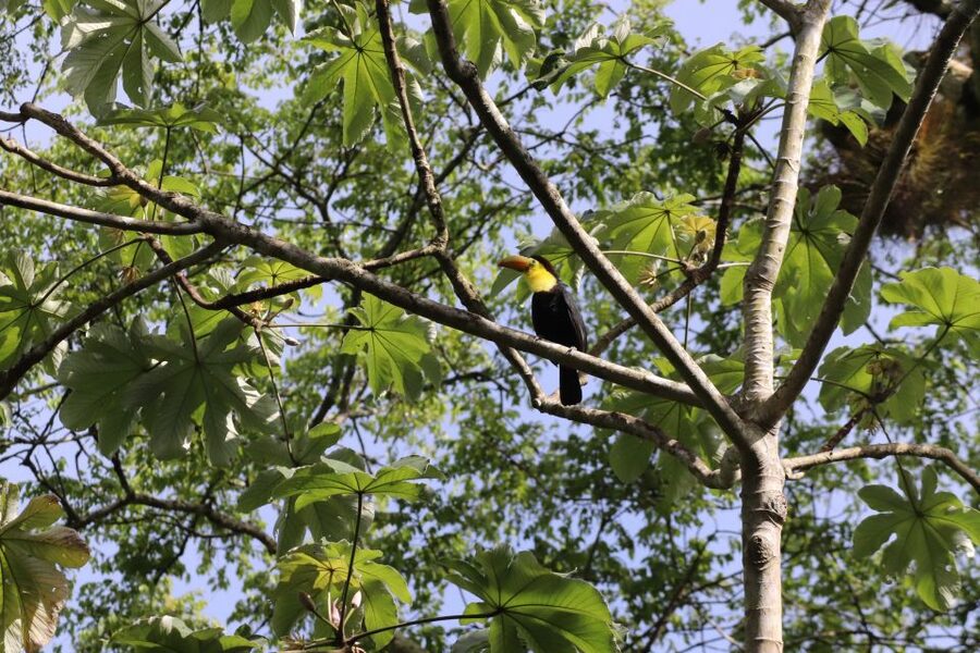 Kathmandu: 3-Day Wildlife, Culture and Jungle Safari Tour - What kind of traveler this tour suits best