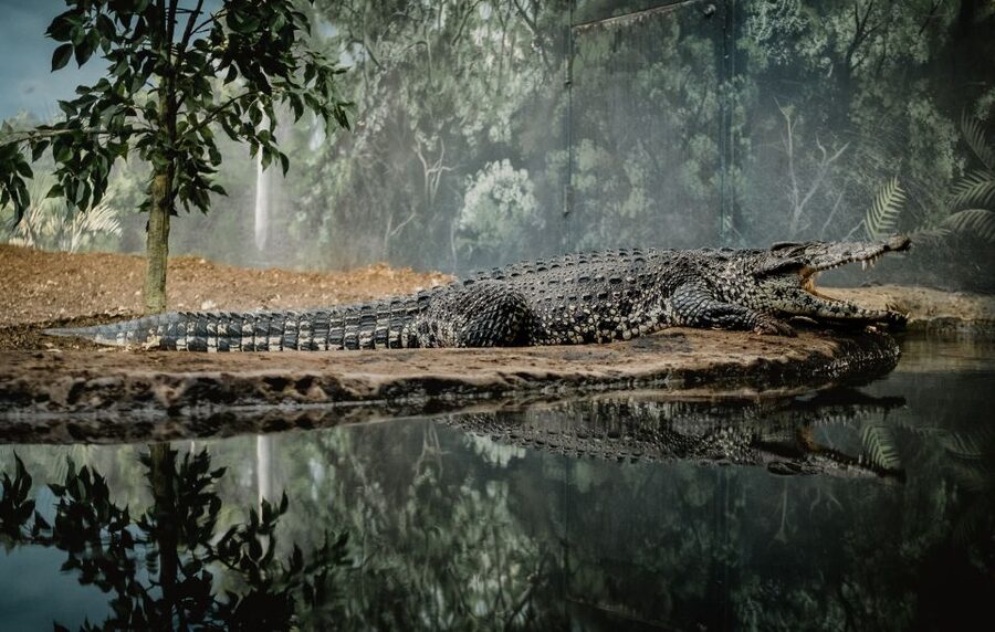 Kathmandu: 3-Day Wildlife, Culture and Jungle Safari Tour - Price and value: what $127 per person really covers