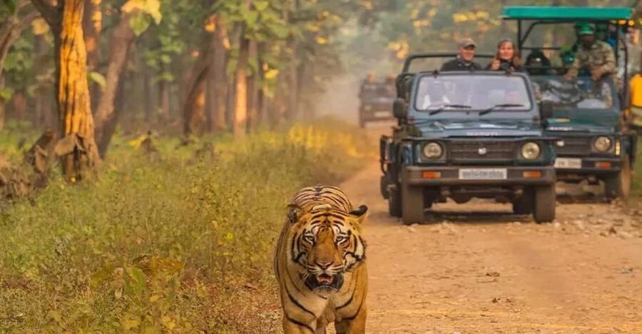 Kathmandu: 4-Day Private Chitwan National Park Safari Tour - Why Chitwan on a 4-day private tour from Kathmandu works