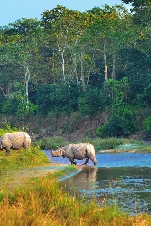 Kathmandu: 4-Day Private Chitwan National Park Safari Tour - Best fit: who will love this and who should think twice
