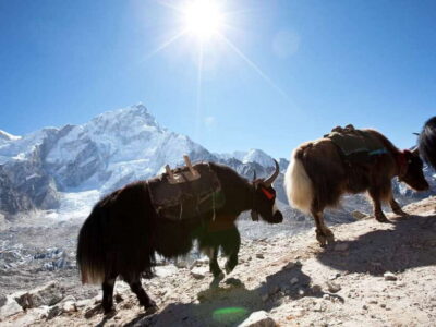 6 Days Langtang Valley Trek