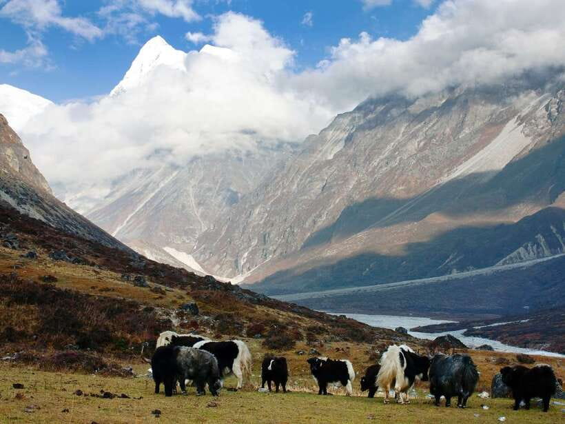 Kathmandu: 6 Days Langtang Valley Trek with Kyanjin Ri - Kyanjin Gompa to Thangsyap, Kyanjin Ri sunrise and the altitude reality