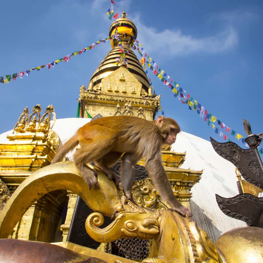 Kathmandu: 7 UNESCO Sites with Lunch - Stop 2: Kathmandu Durbar Square and the Newar palace maze