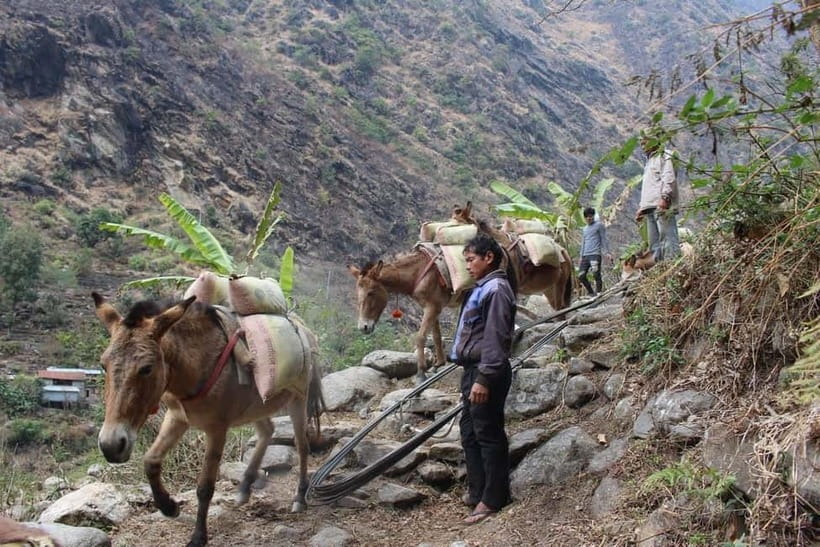 Kathmandu: 9-Day Annapurna Circuit Trek via Thorong La Pass - Tea houses and lodges: basic comfort, predictable routines
