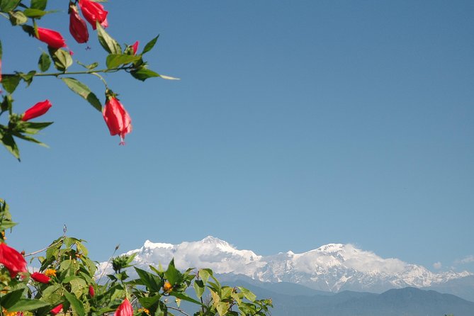 Kathmandu and Pokhara: A Journey Through Nepal's Cultural and Natural Wonders - Thamel in Kathmandu: street life, easy start, real orientation