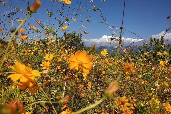 Kathmandu and Pokhara: A Journey Through Nepal's Cultural and Natural Wonders - How the $923 price stacks up for what you actually get