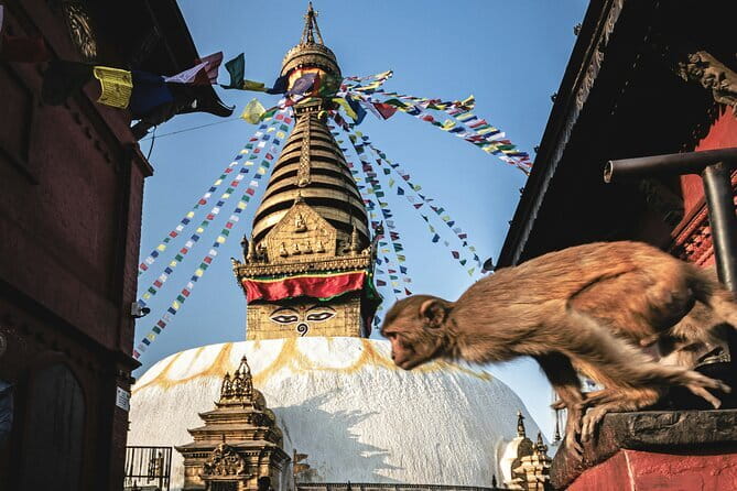 Kathmandu Bhaktapur Patan Authentic Local Tour +7 UNESCO WH Sites - Day 1 in Bhaktapur: Juju Dhau, Pottery Square, and Durbar Square Gravity