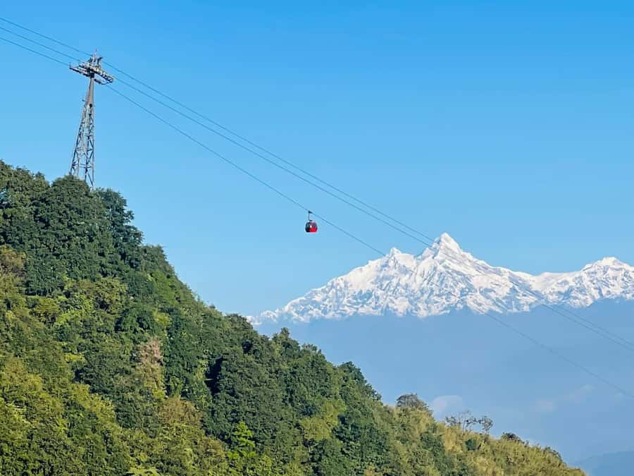 Kathmandu: Champadevi - Chandragiri Hike & Cable Car Descent - The hike through pine and rhododendron forest, where the day starts to feel real