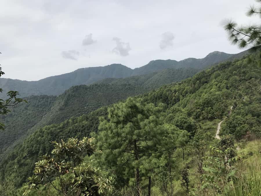 Kathmandu: Champadevi - Chandragiri Hike & Cable Car Descent - The cable car descent: fast relief, with a real height-factor
