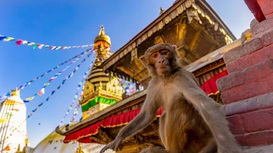 Kathmandu: Chandragiri Cable Car and Monkey Temple tour - Why the Chandragiri cable car feels like a Kathmandu reset