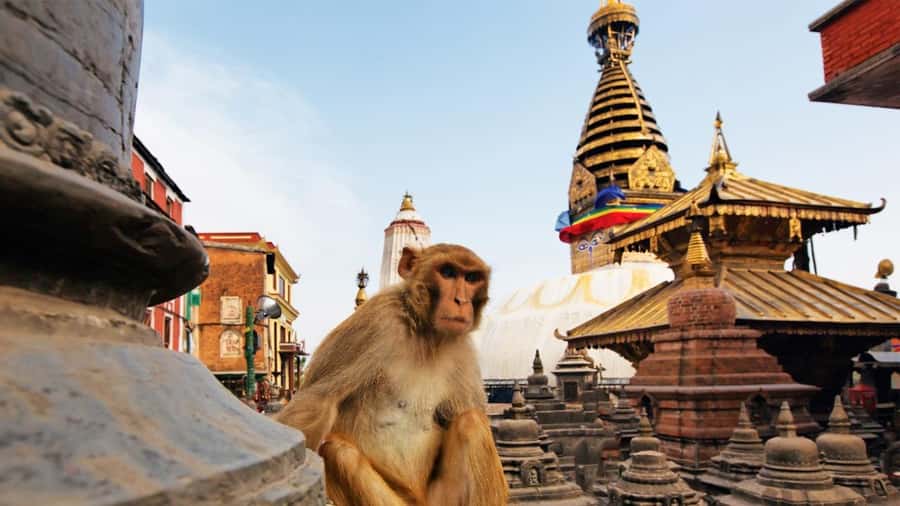 Kathmandu: Chandragiri Cable Car and Monkey Temple tour - Swayambhunath (Monkey Temple) in 45 minutes, what you can realistically see