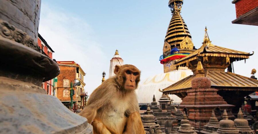 Kathmandu: Chandragiri cable car & Swayambhunath Tour - Morning flow from pickup to Chandragiri cable car