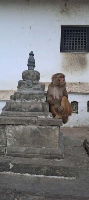 Kathmandu: Chandragiri cable car & Swayambhunath Tour - Lunch timing and the practical break before Swayambhunath