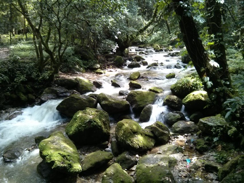 Kathmandu: Chisapani Nagarkot 3-Days 2-Nights Trek - Key things that make this trek worth your time
