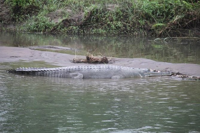 Kathmandu Chitwan Pokhara Tour - Thamel In Kathmandu: A Smooth Start Before the Nature Days