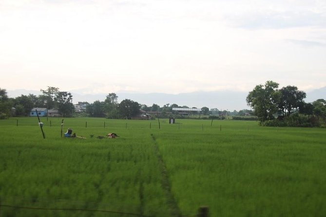 Kathmandu Chitwan Pokhara Tour - Chitwan National Park: Wildlife Time With a Cultural Frame
