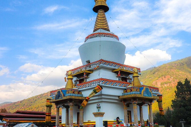 Kathmandu Day Tour - What to do before, during, and after the stops