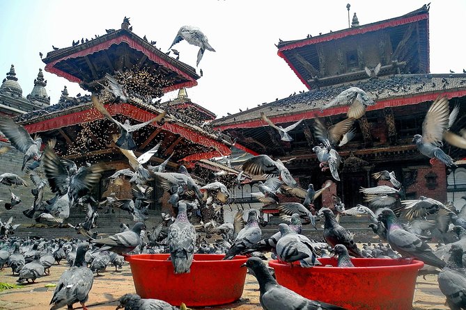 Kathmandu Day Tour - Pace, Group Size, and Who This Tour Fits Best