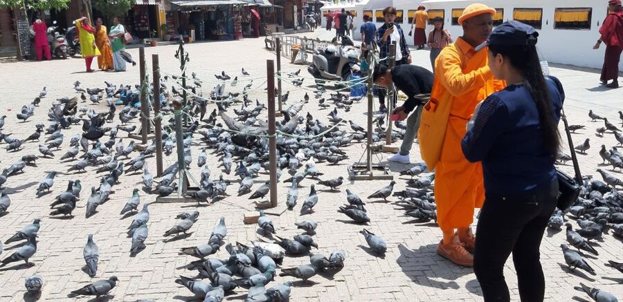 Kathmandu: Guided -Day Tour of World Heritage Sites - Boudhanath Stupa: One of the World’s Biggest, Built for Prayer