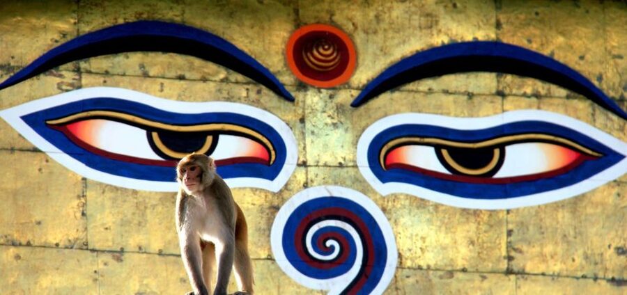 Kathmandu: Monkey Temple and Chandragiri Cable Car Ride Tour - Guide quality and private-group pacing in Kathmandu