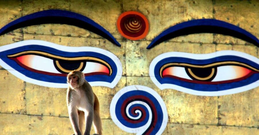 Kathmandu: Monkey Temple and Chandragiri Cable Car Ride Tour - Getting to Chandragiri with hotel pickup and a real guide