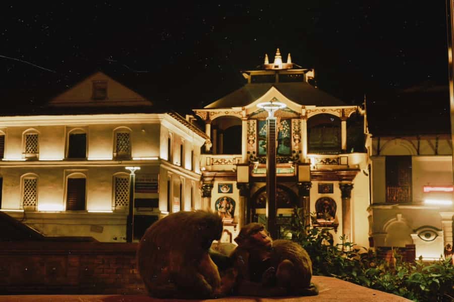 Kathmandu: Pashupatinath Aarati & Cremation Evening Tour - Who this Kathmandu evening tour suits best, and who should skip it